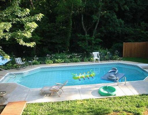 955 Mountain Pass Road Blue Ridge, VA 24064 - Photo 2 of 5 an outdoor space with swimming pool and green space