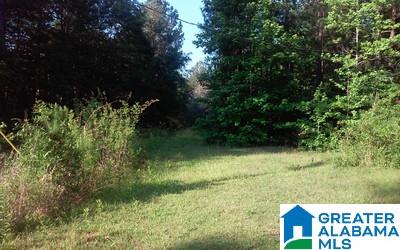 82 County Road, Unit 18 Wedowee, AL 36278 - Photo 1 of 12