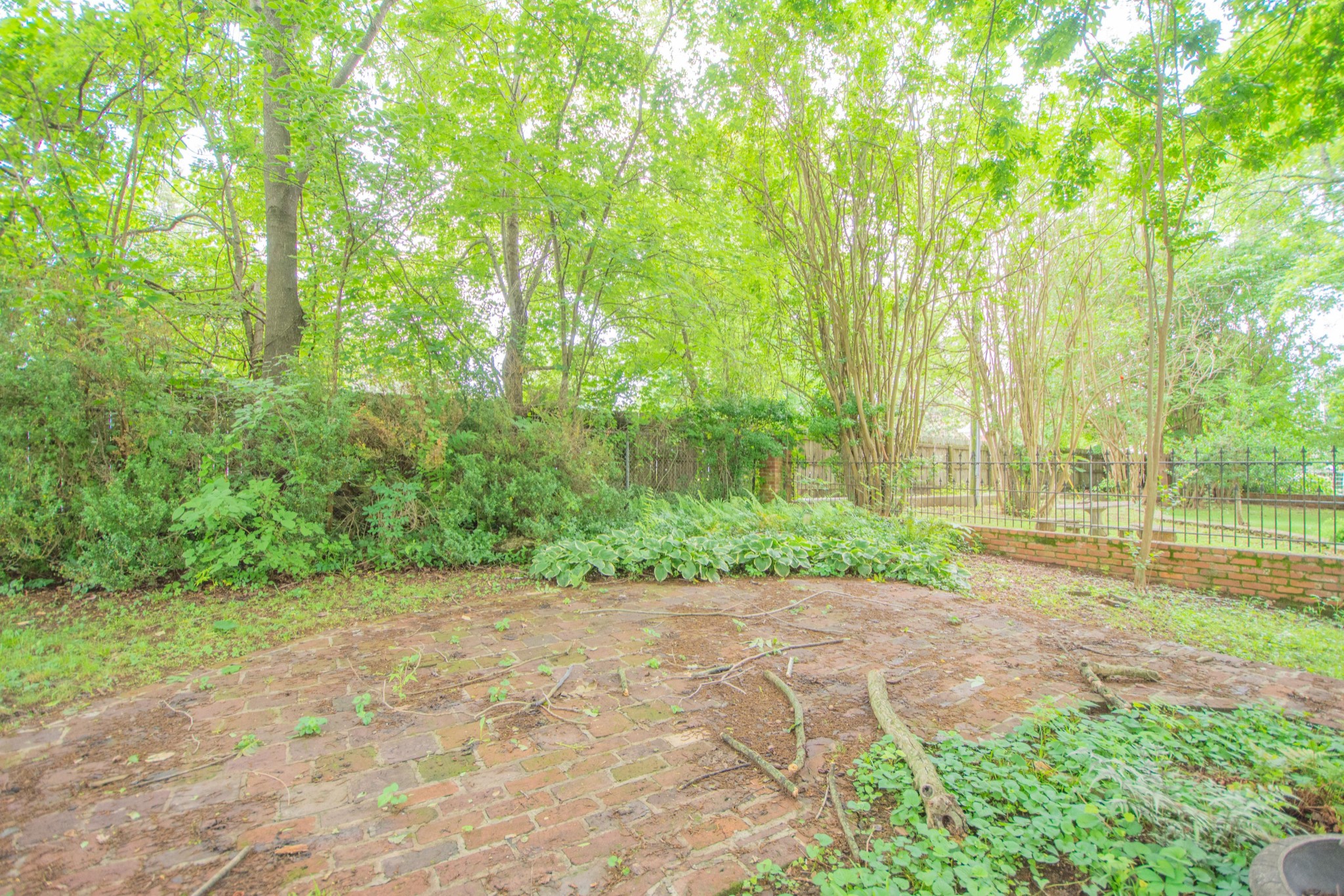 311 South 3rd Street Pulaski, TN 38478 - Photo 44 of 44 a view of a back yard