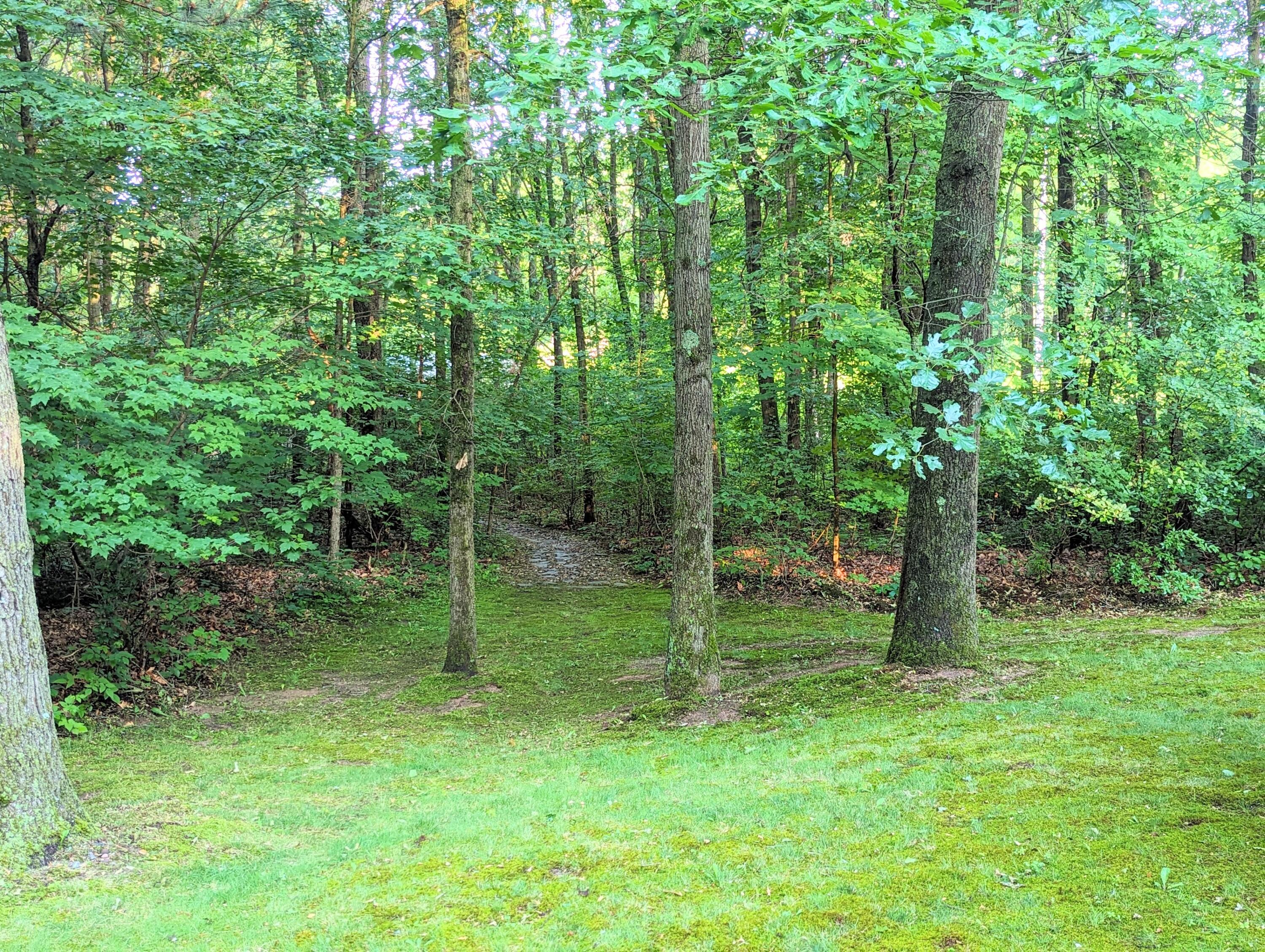 1126 Hunter Ridge Battle Creek, MI 49017 - Photo 8 of 48 PXL_20240613_234424707