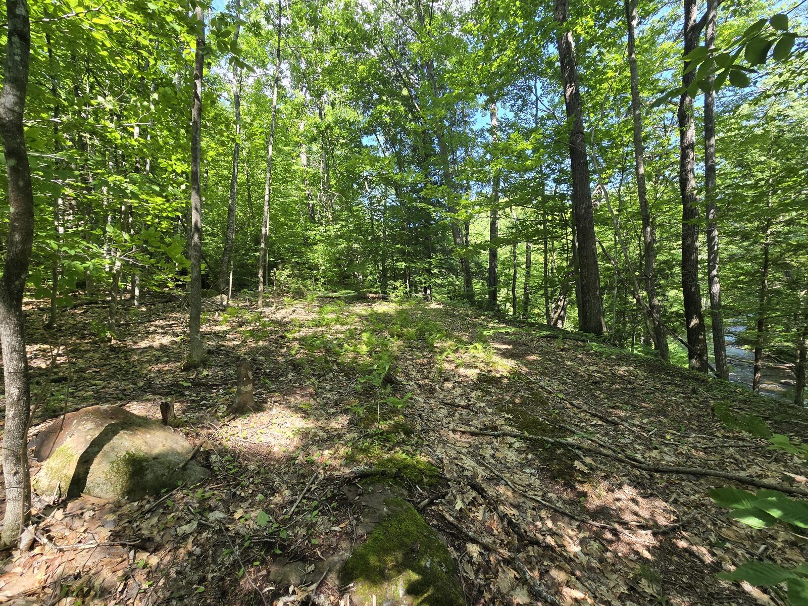 Lot 67 Temple Road Temple, ME 04984 - Photo 14 of 20 20260624_095904