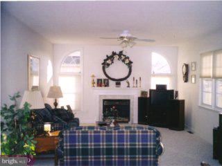 310 Kentucky Avenue Sinking Spring, PA 19608 - Photo 5 of 6 a living room with furniture a fireplace and a potted plant