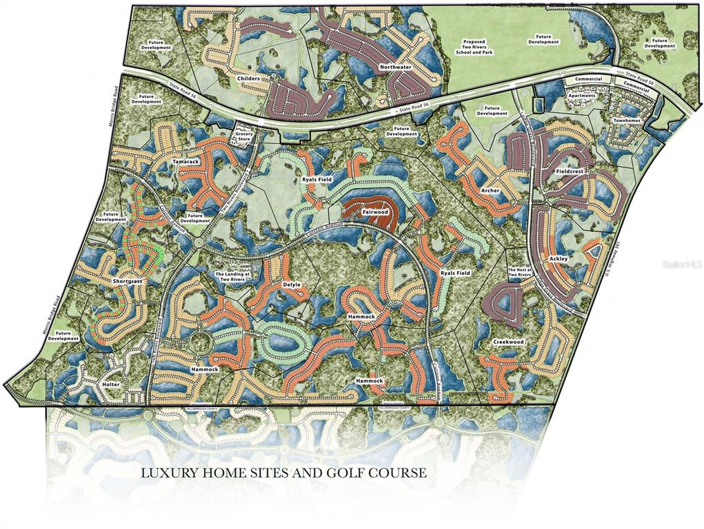 35992 Sunflower Hl Drive Zephyrhills, FL 33541 - Photo 44 of 44