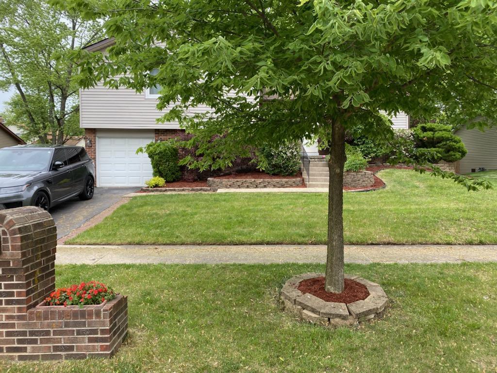 217 Pheasant Road Matteson, IL 60443 - Photo 2 of 27 a front view of a house with a yard
