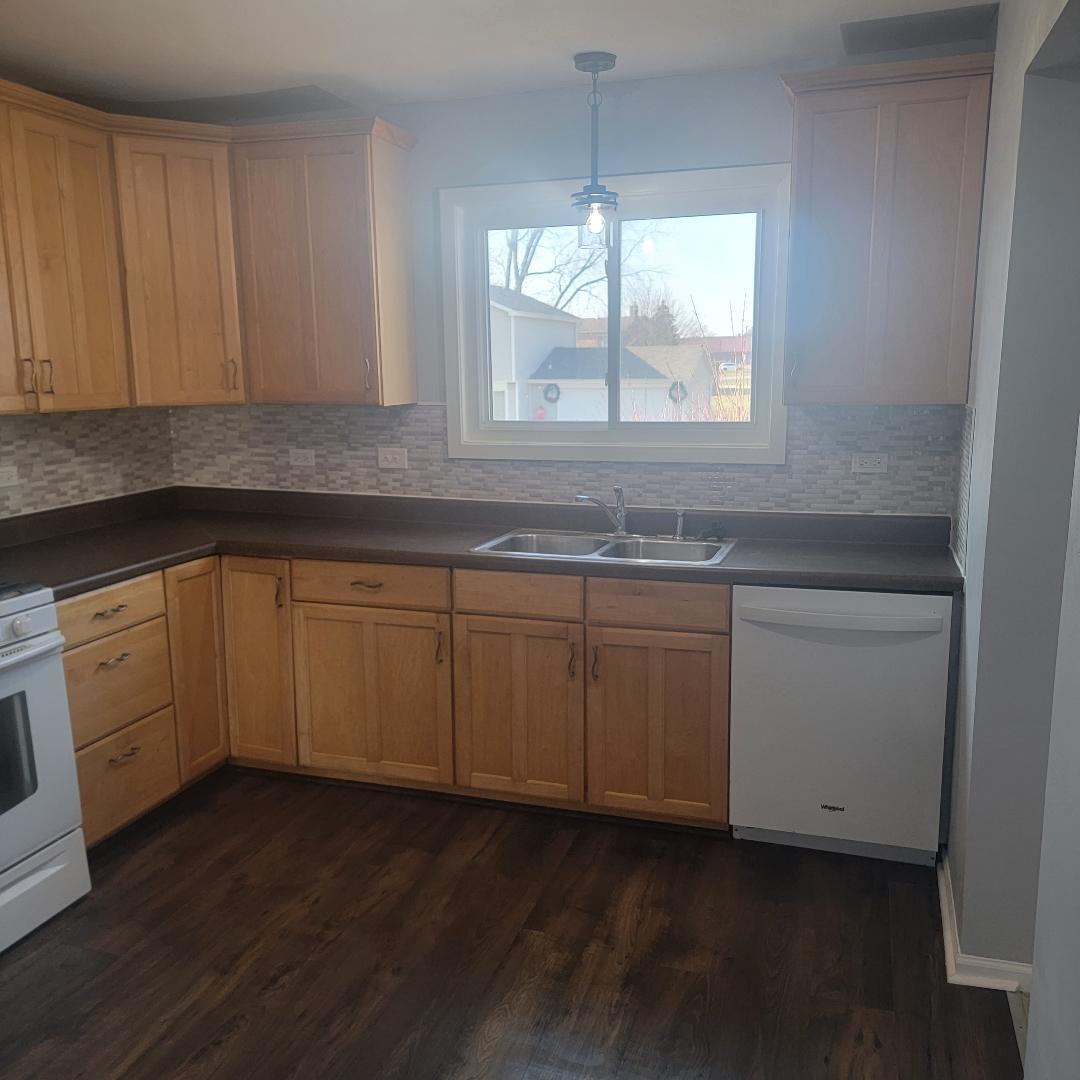 217 Pheasant Road Matteson, IL 60443 - Photo 7 of 27 a kitchen with a sink window and cabinets