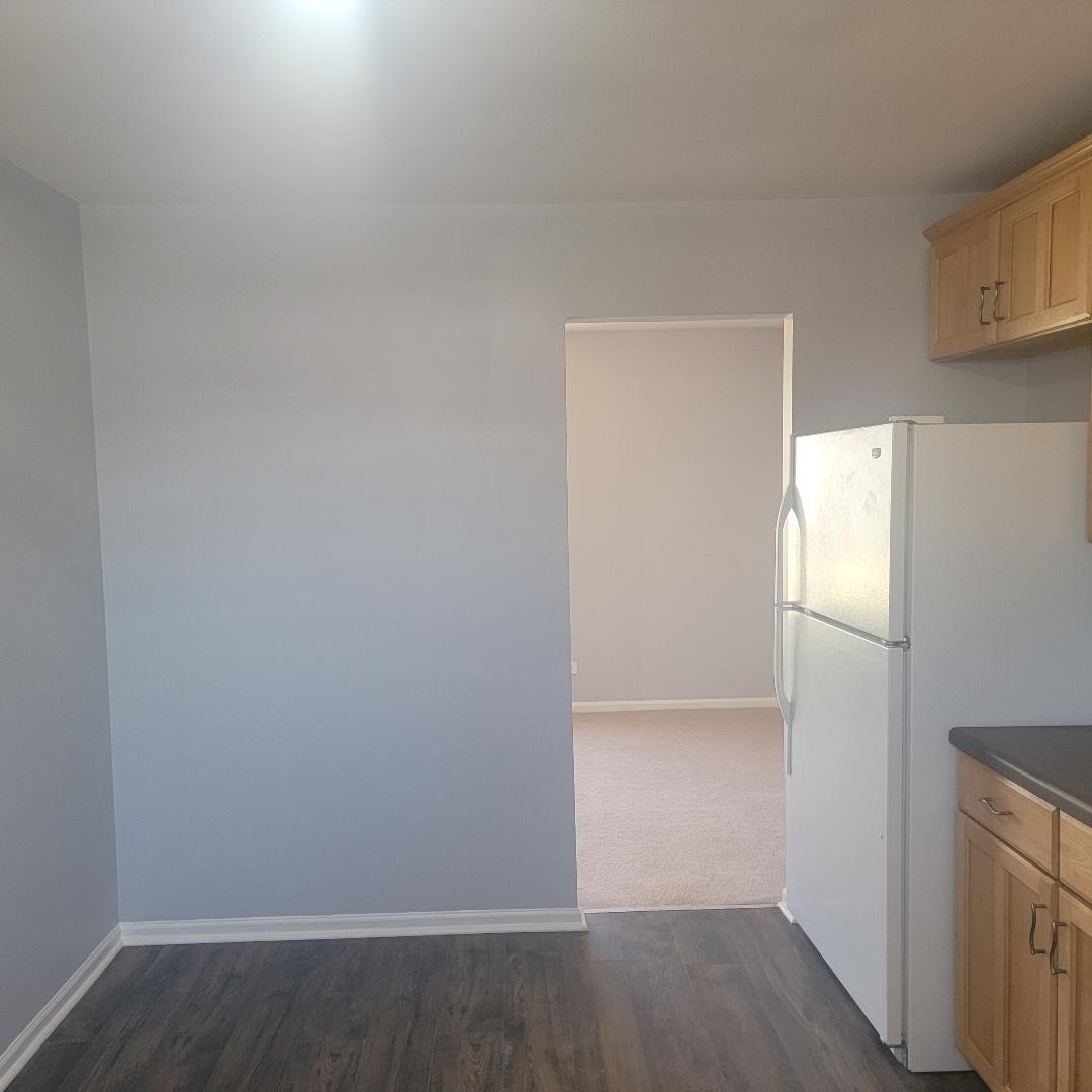 217 Pheasant Road Matteson, IL 60443 - Photo 10 of 27 a view of an empty room