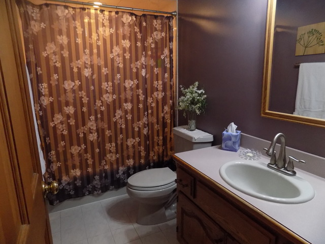 3863 East 2050th Road Serena, IL 60549 - Photo 6 of 16