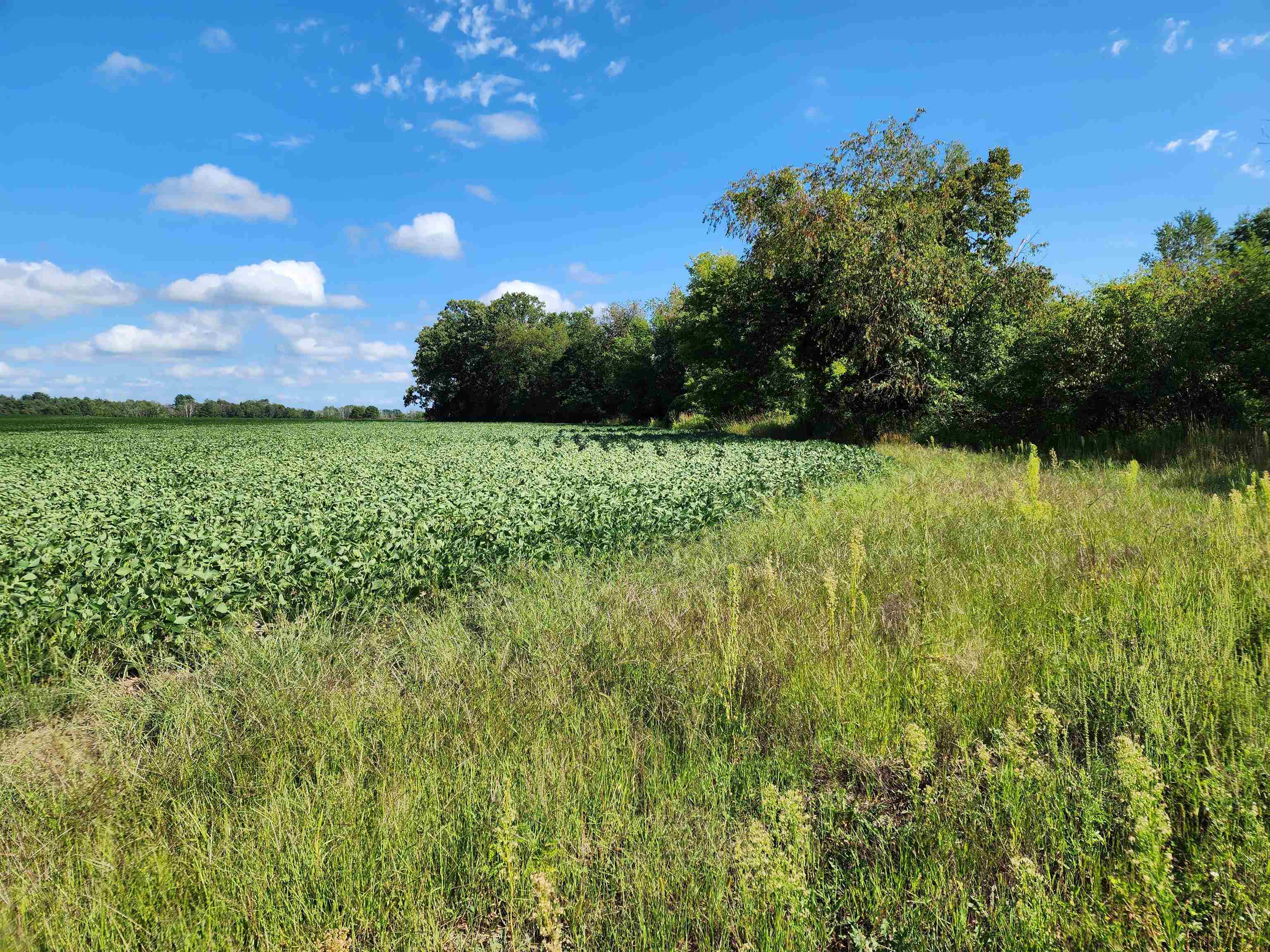 Crystal Road Waupaca, WI 54981 - Photo 2 of 10