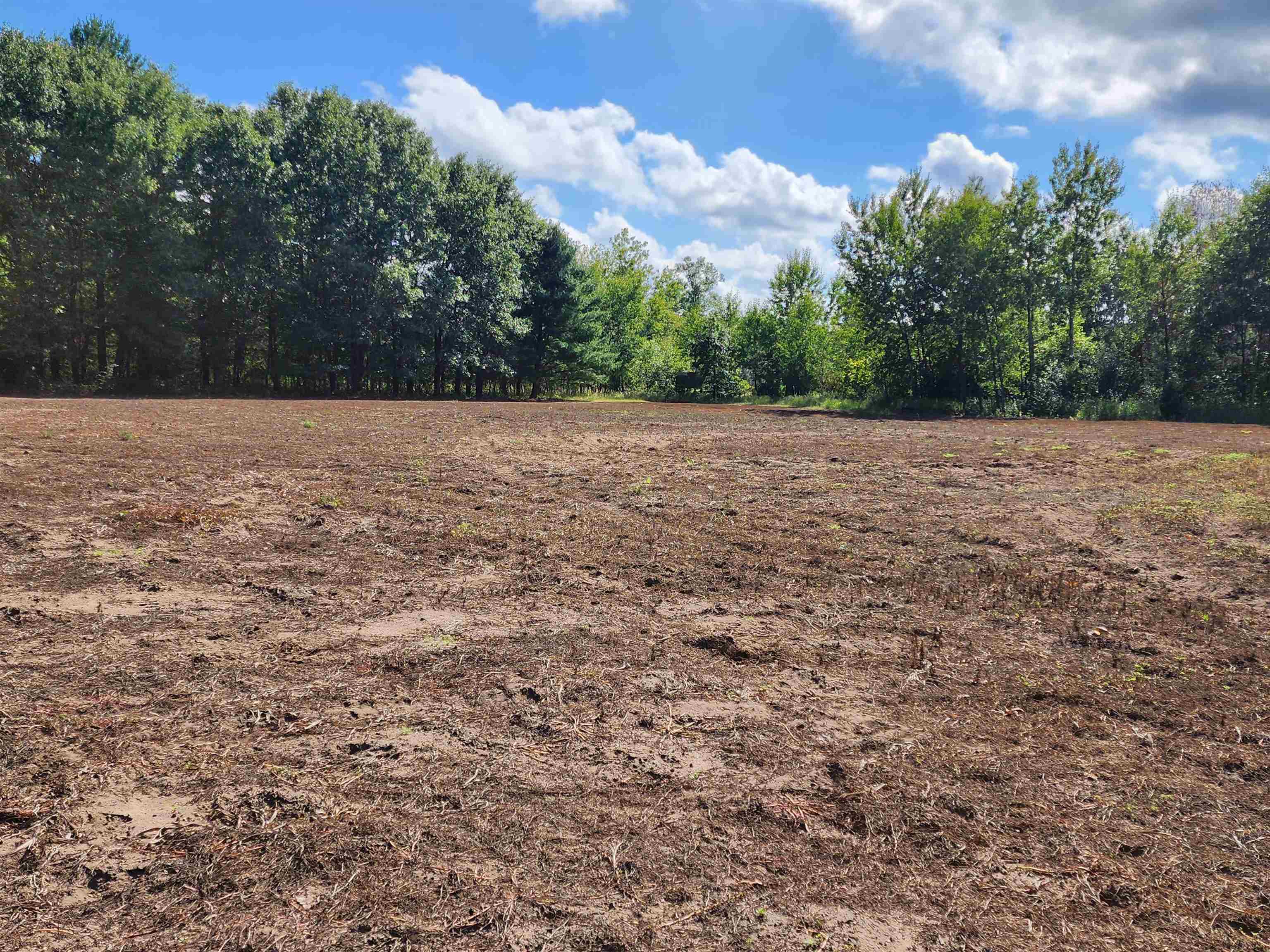 Crystal Road Waupaca, WI 54981 - Photo 5 of 10