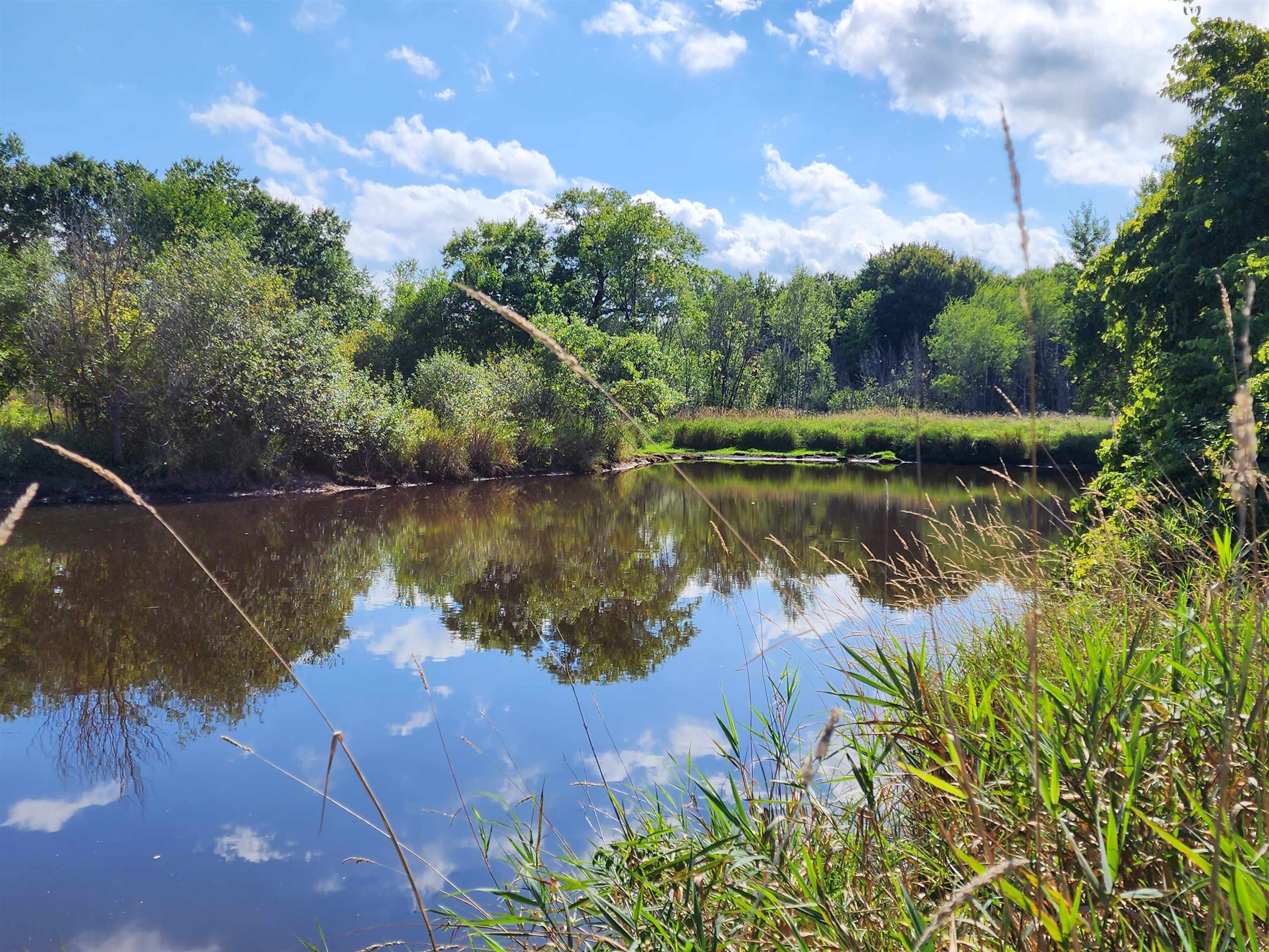 Crystal Road Waupaca, WI 54981 - Photo 6 of 10