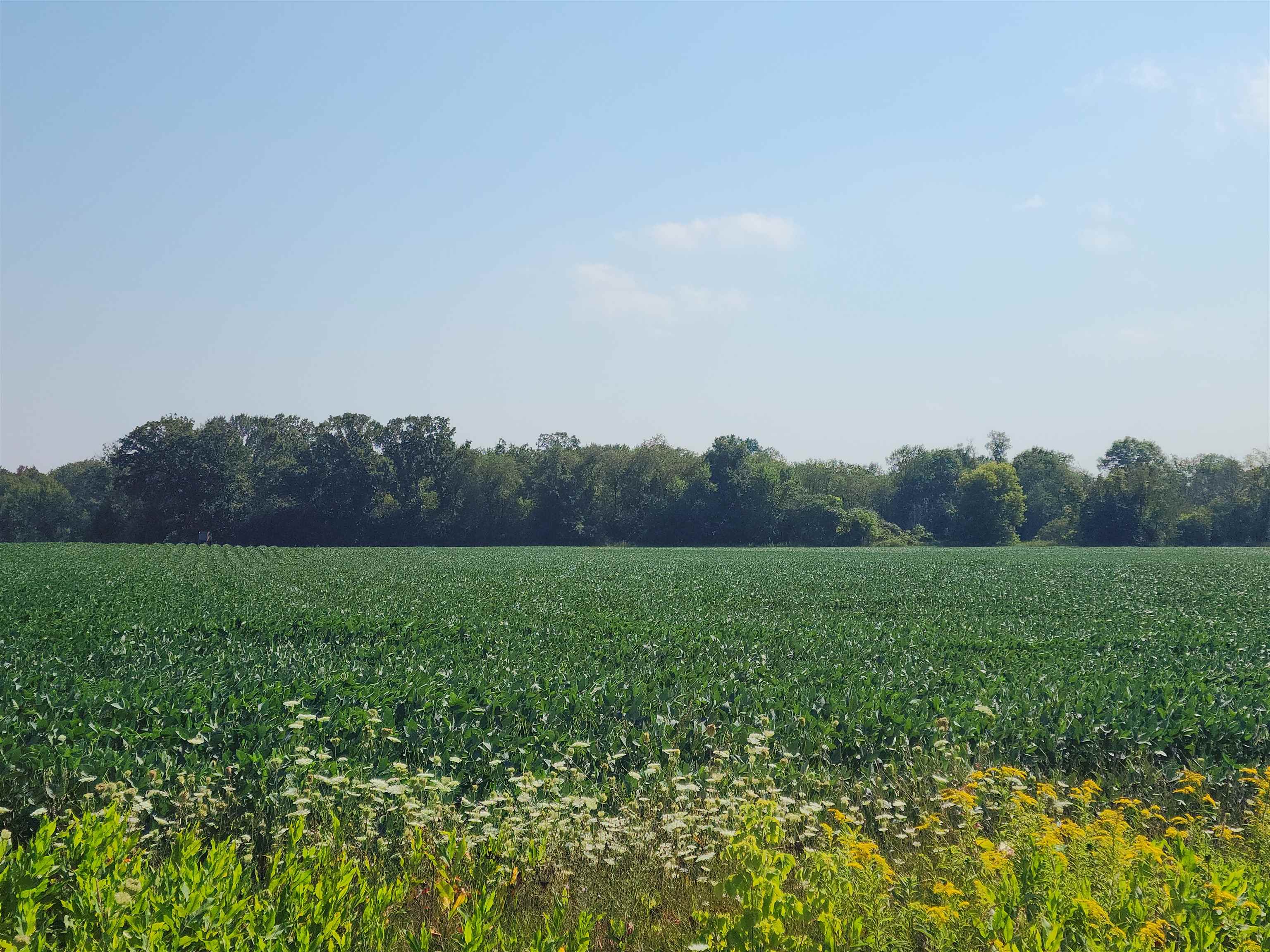 Crystal Road Waupaca, WI 54981 - Photo 7 of 10