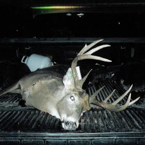 $550,000 | Crystal Road, Waupaca, WI 54981