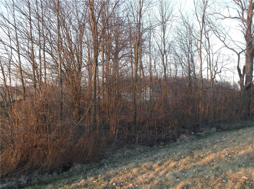 2300 Fessler-Buxton Road Russia, OH 45363 - Photo 21 of 24