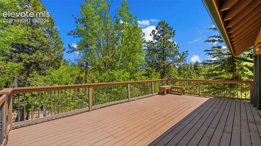 506 Ridge Road Divide, CO 80814 - Photo 39 of 50