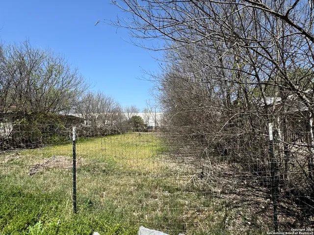 a view of a garden with a tree