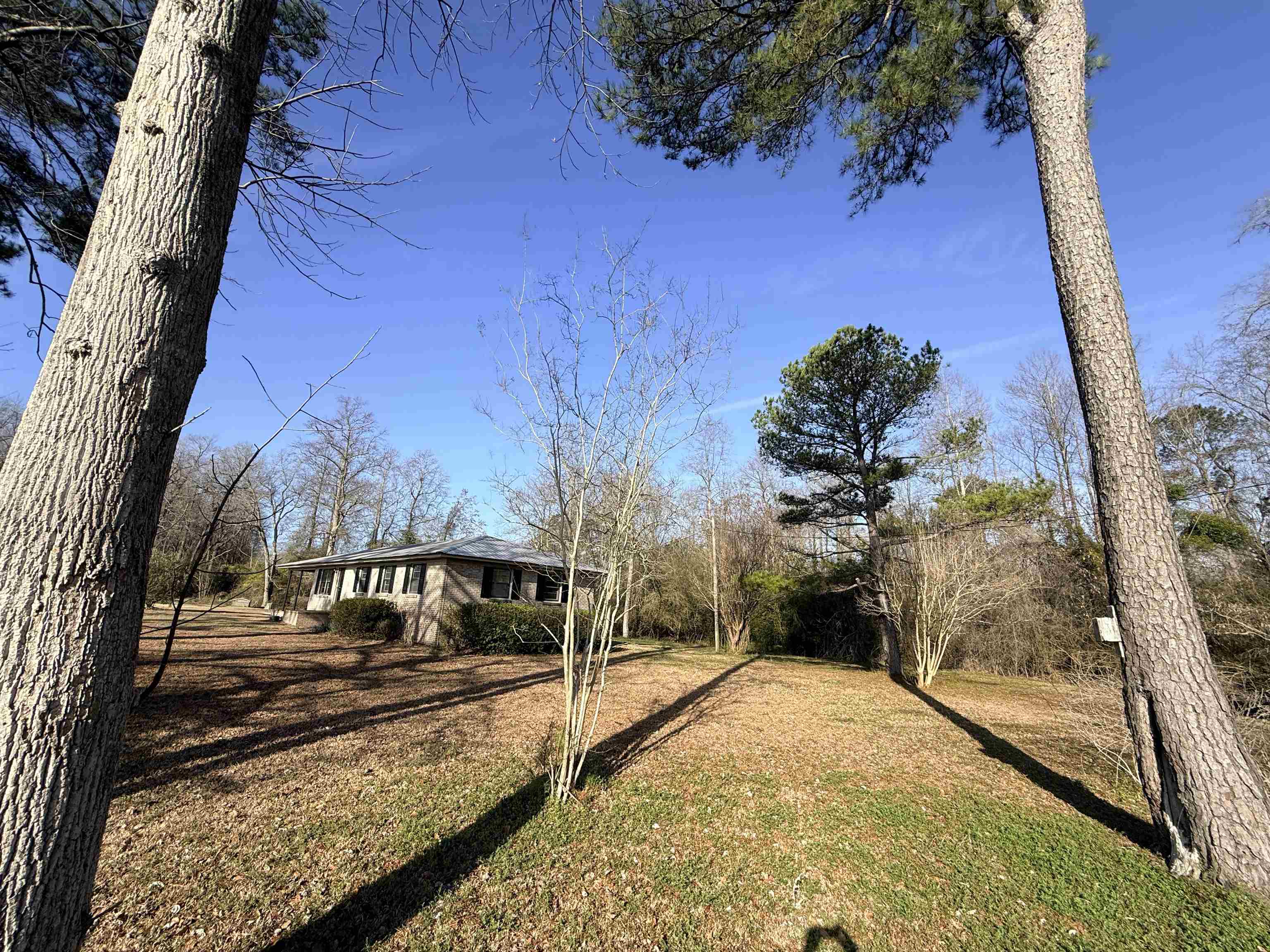 2336 Macedonia Drive Loris, SC 29569 - Photo 3 of 21