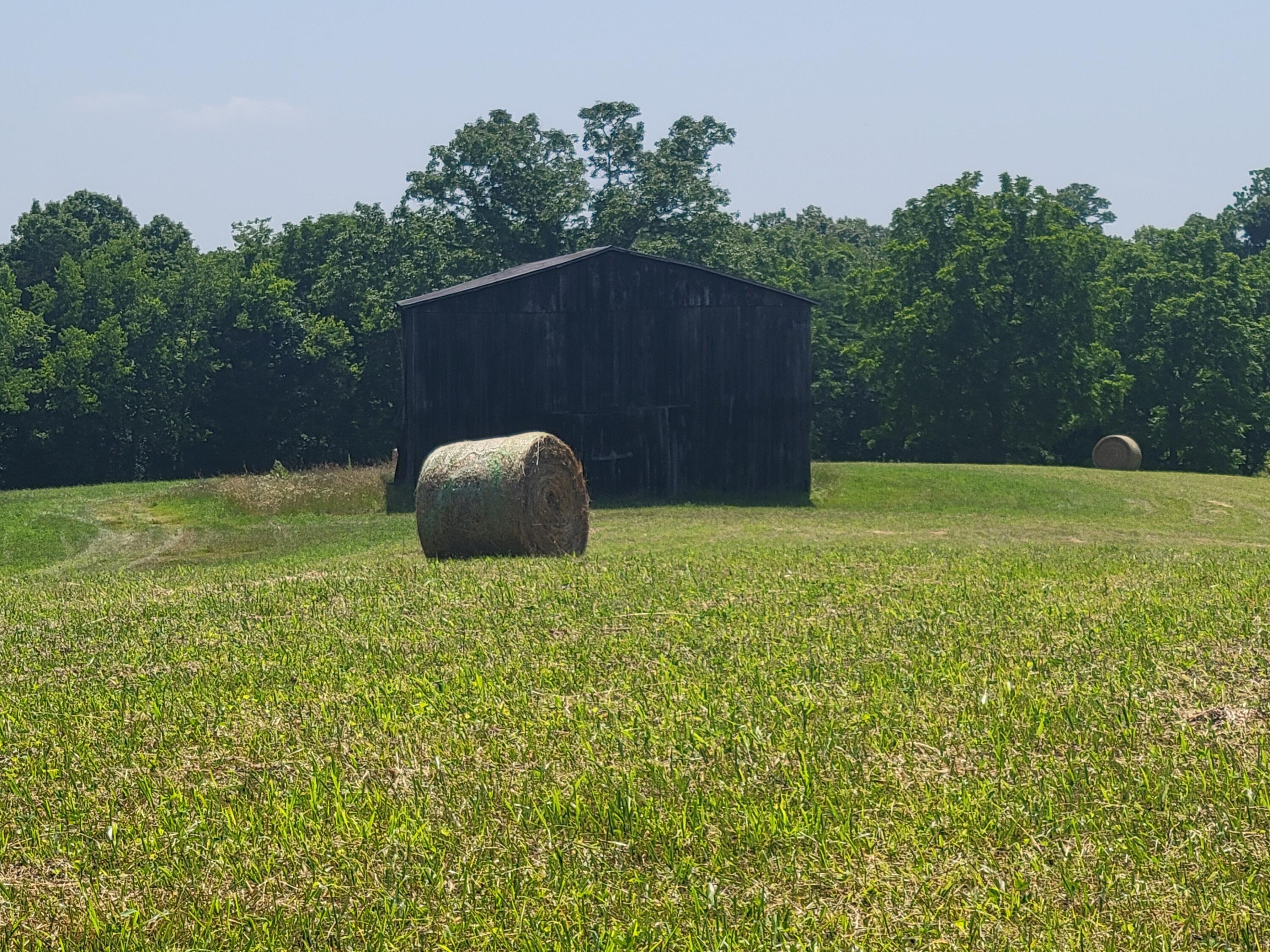 4897 Fords Mill Road Versailles, KY 40383 - Photo 16 of 52 20220614_152232