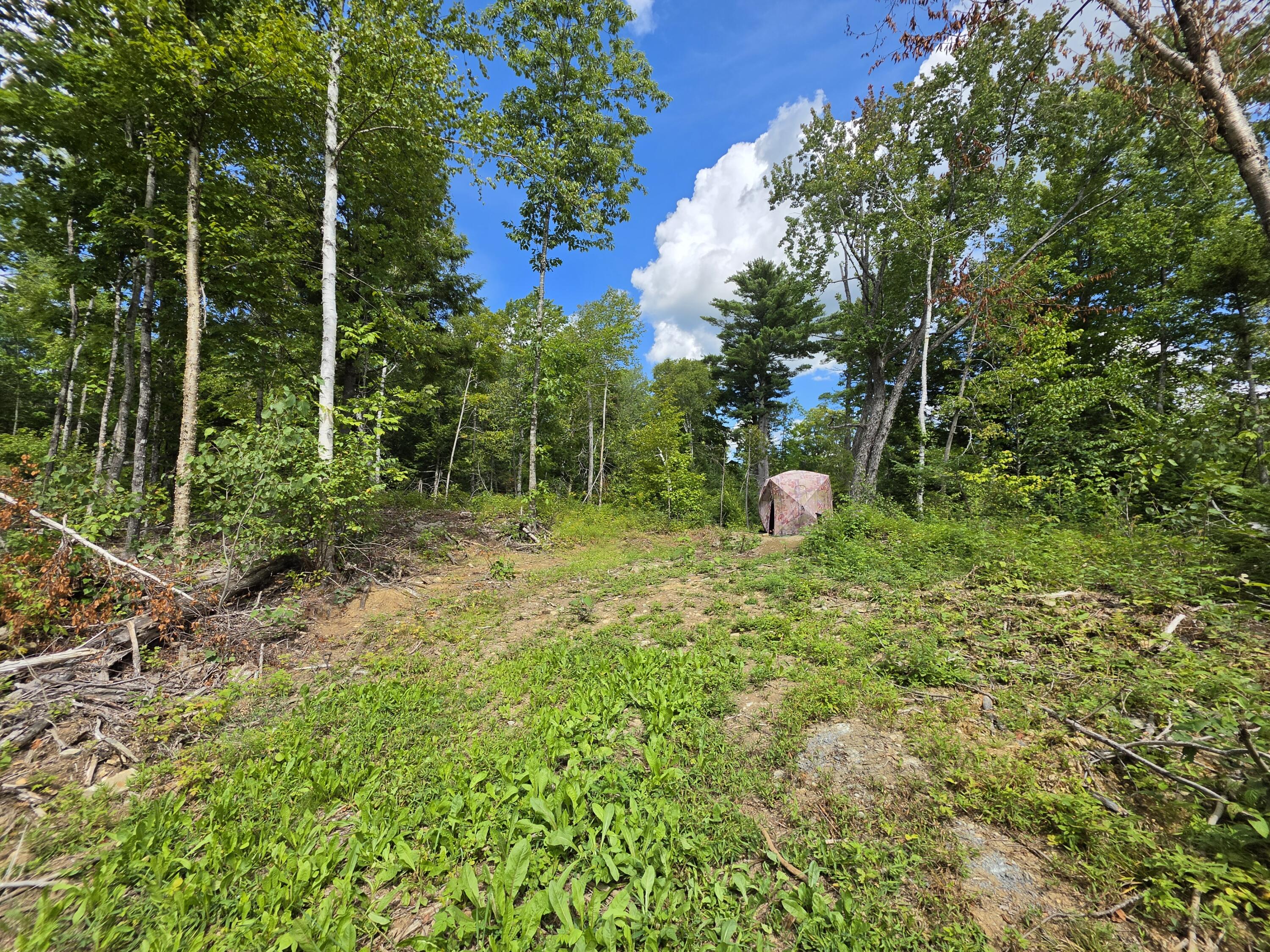 Lot 12 Meadow Lane Road Lee, ME 04455 - Photo 20 of 35 20260827_131238