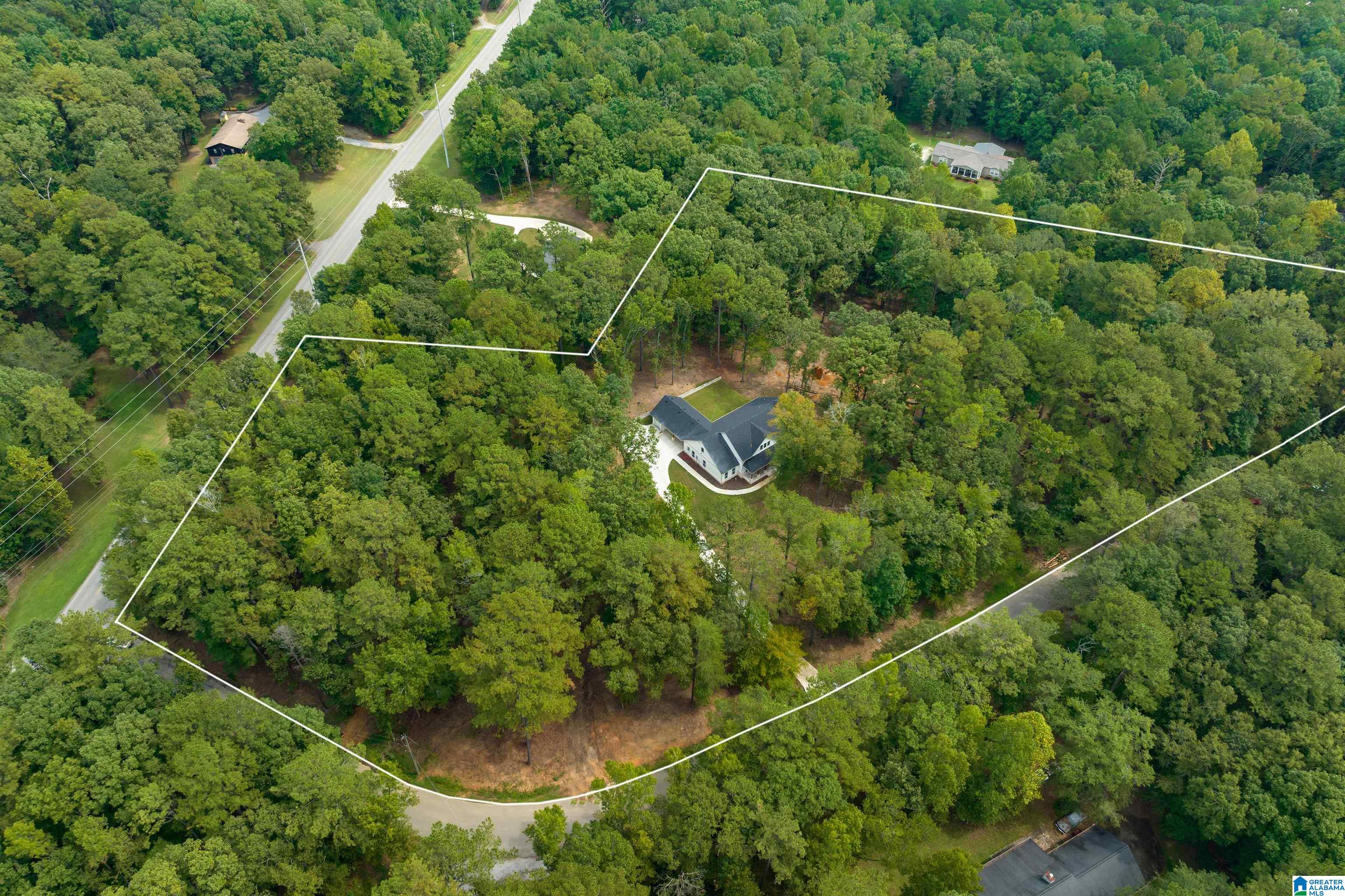 161 Hodgens Road Chelsea, AL 35043 - Photo 38 of 40