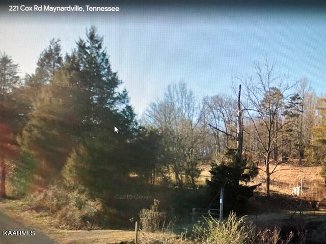 221 Cox Road Maynardville, TN 37807 - Photo 11 of 11 IMG_9161