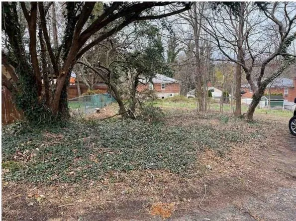 a backyard of a house with lots of green space