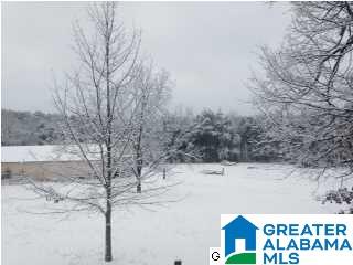 1551 Hagood Mtn Road Morris, AL 35116 - Photo 31 of 32