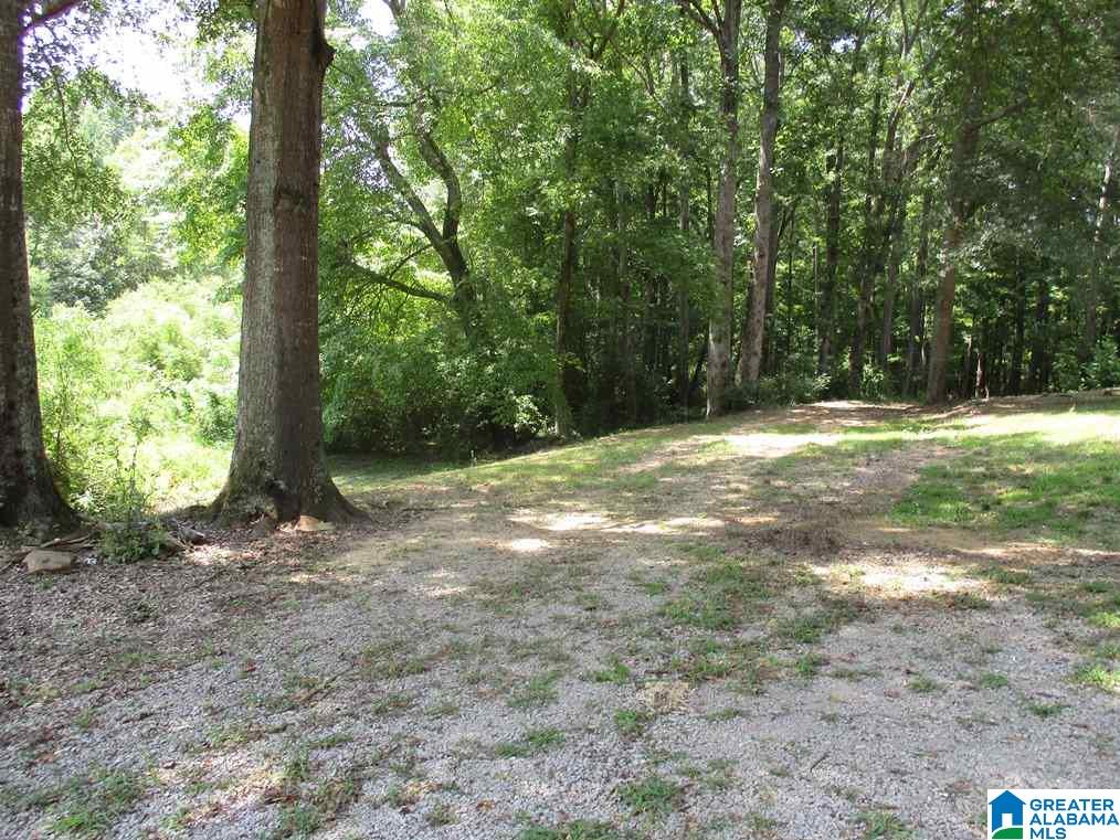 3315 Pine Mountain Road Remlap, AL 35133 - Photo 16 of 20