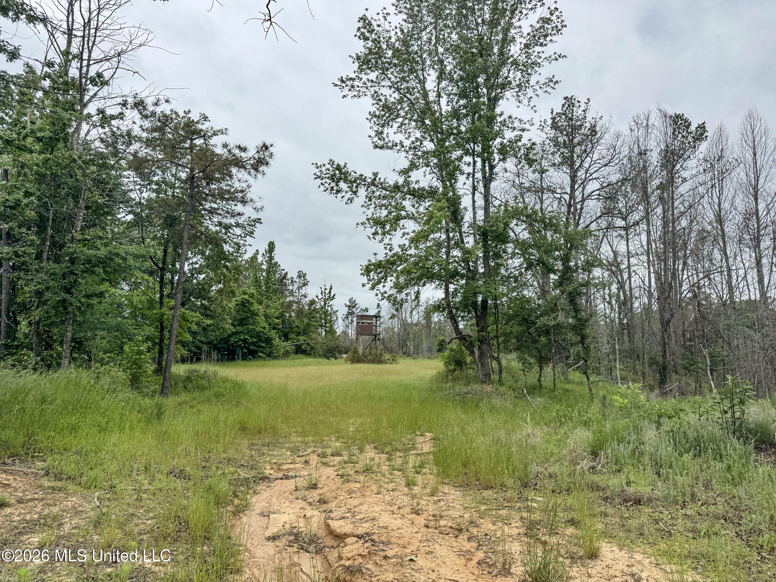Wayne Massie Road Como, MS 38619 - Photo 140 of 184 5cdtbs84