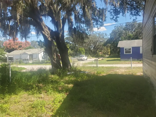 a view of a trees in a yard