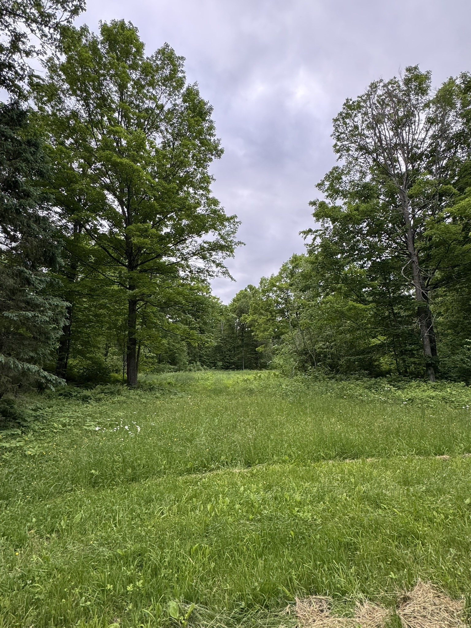 75134 West Road Butternut, WI 54514 - Photo 10 of 35