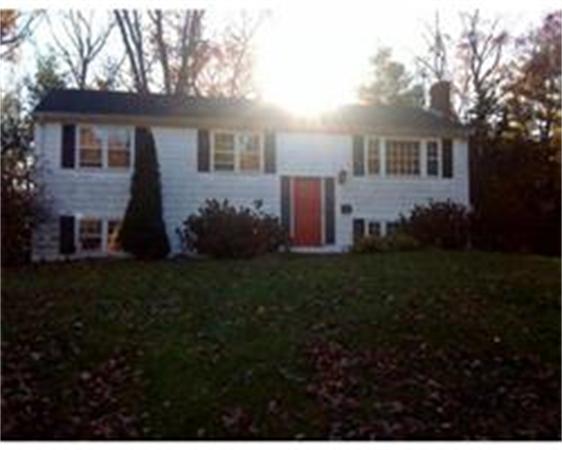 20 Clewes Road Millis, MA 02054 - Photo 1 of 12 Gallery Image 1