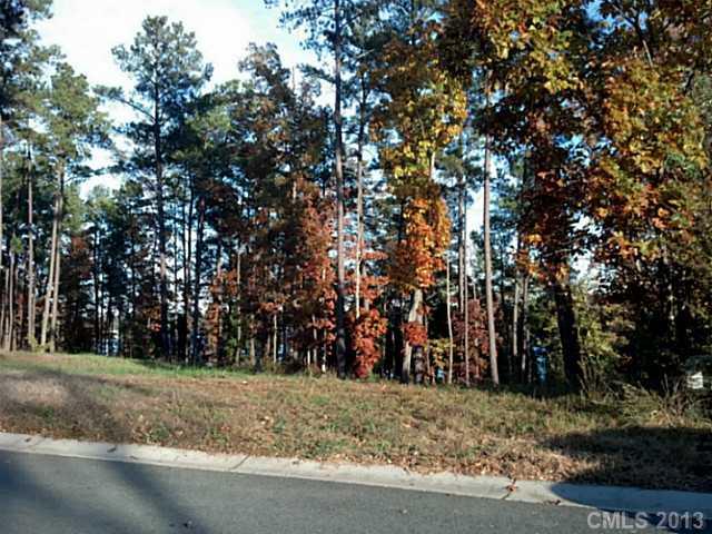 156 Mariners Bluff Road, Unit 8 York, SC 29745 - Photo 6 of 16 Gallery Image 6