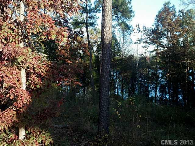 156 Mariners Bluff Road, Unit 8 York, SC 29745 - Photo 9 of 16 Gallery Image 9