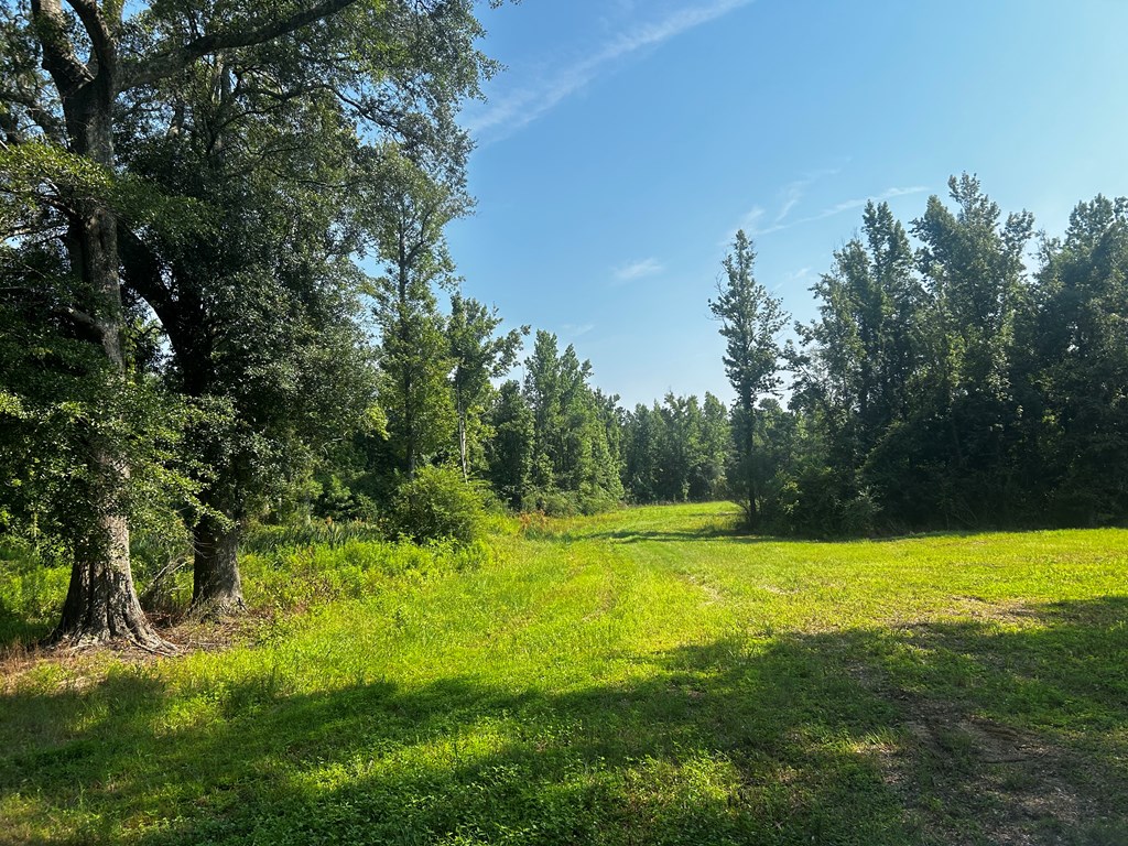 0 Willie Varnum Road Dothan, AL 36301 - Photo 8 of 9
