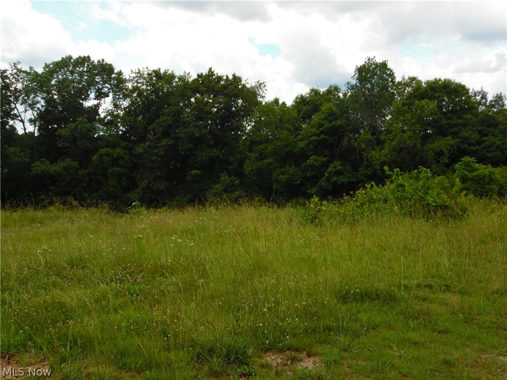 84 Sealy Ridge Road Little Hocking, OH 45742 - Photo 48 of 50