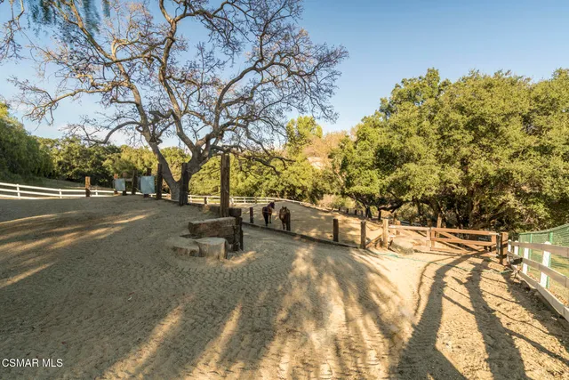 a view of a yard with plants and trees