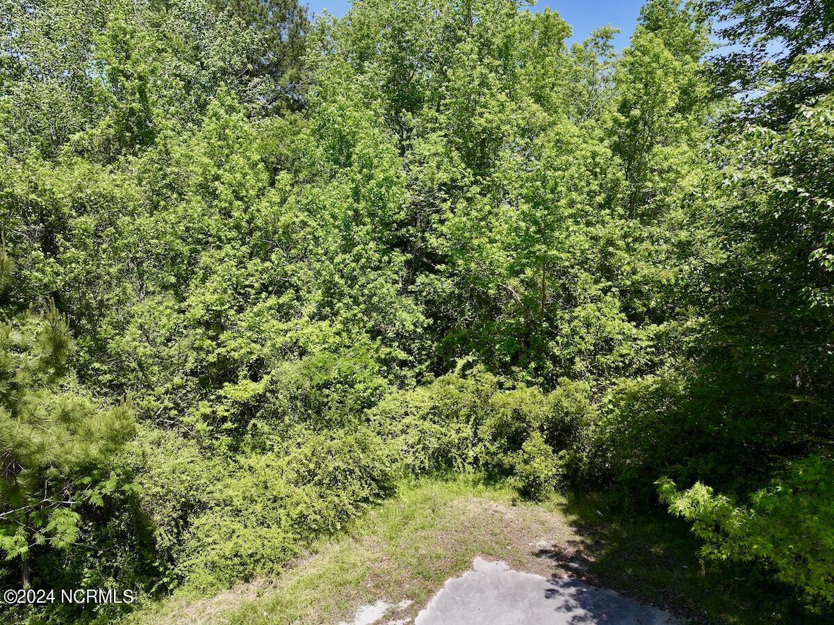 0 George Road Havelock, NC 28532 - Photo 25 of 28 24