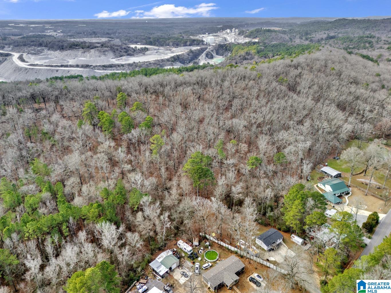 1383 Camp Branch Road, Unit 1 Alabaster, AL 35007 - Photo 15 of 20