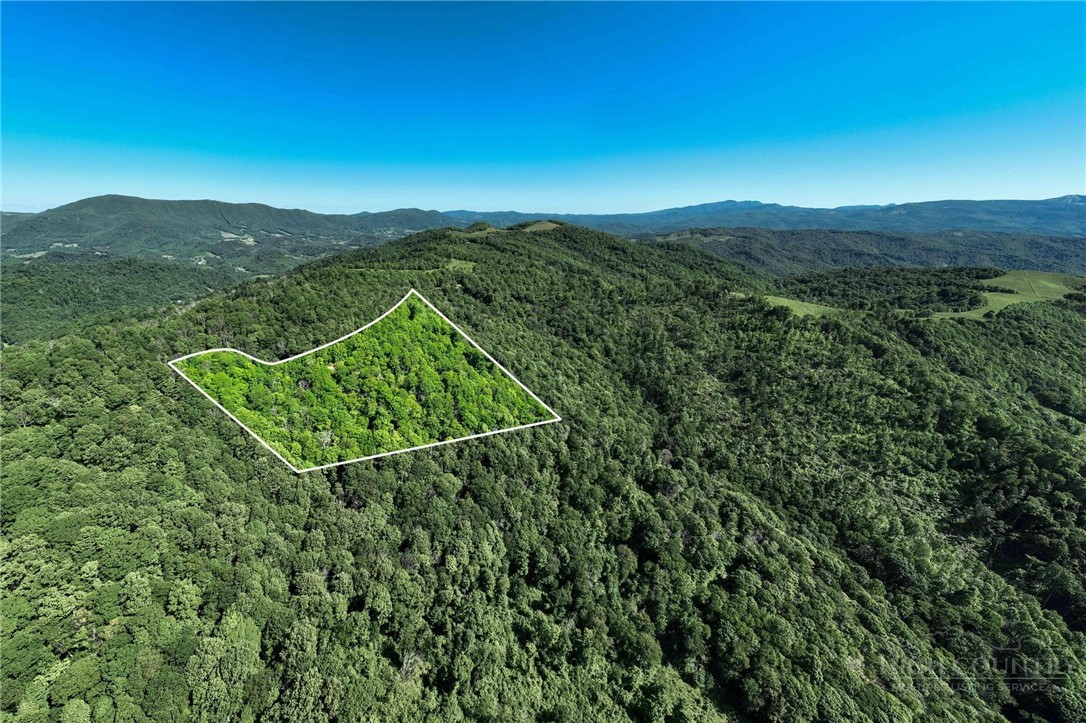 1260 Fork Ridge Road Zionville, NC 28698 - Photo 33 of 50