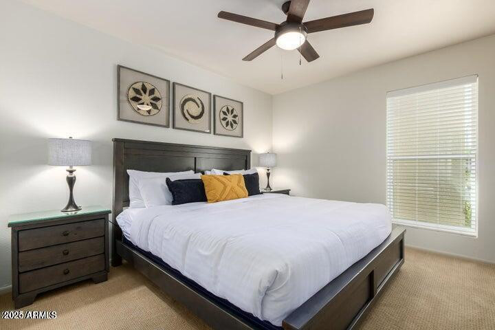 3357 East Hatcher Road Phoenix, AZ 85028 - Photo 21 of 29 Photo #21