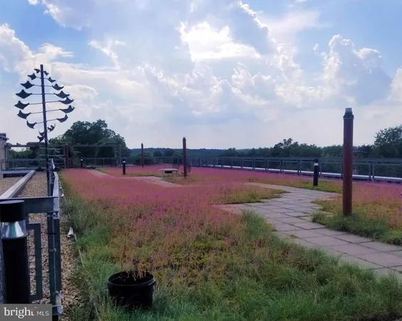 a roof deck with table and chairs