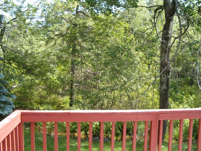 9904 Greenbrier Road Long Pond, PA 18334 - Photo 2 of 2 view from a deck