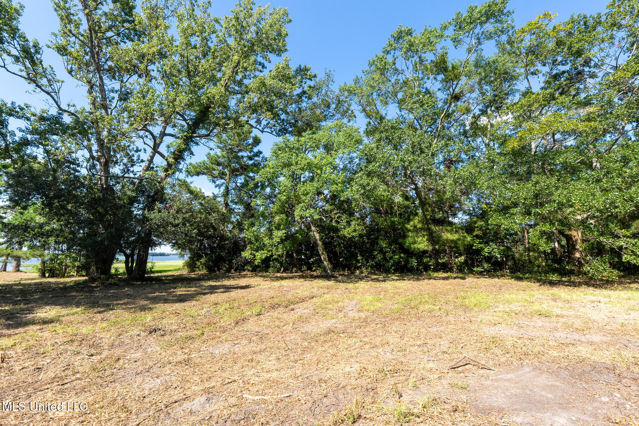 10232 Goodman Road D'Iberville, MS 39540 - Photo 8 of 23 _DSC5360