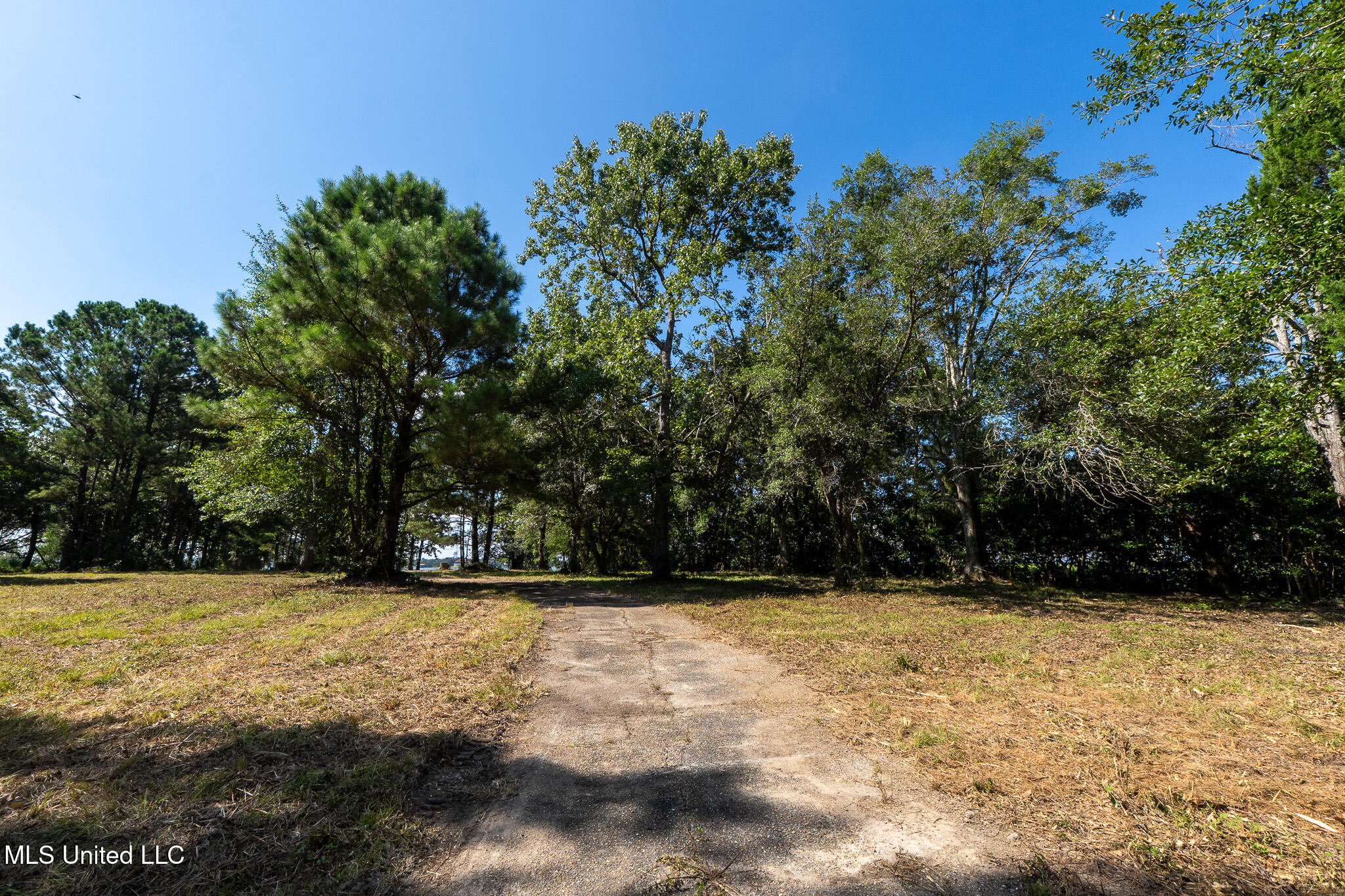 10232 Goodman Road D'Iberville, MS 39540 - Photo 10 of 23 _DSC5365