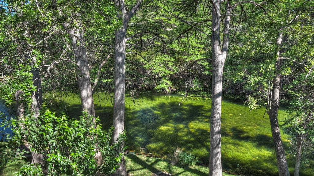 187 Roy Chisum Road Leakey, TX 78873 - Photo 35 of 40 a backyard of a house with lots of green space