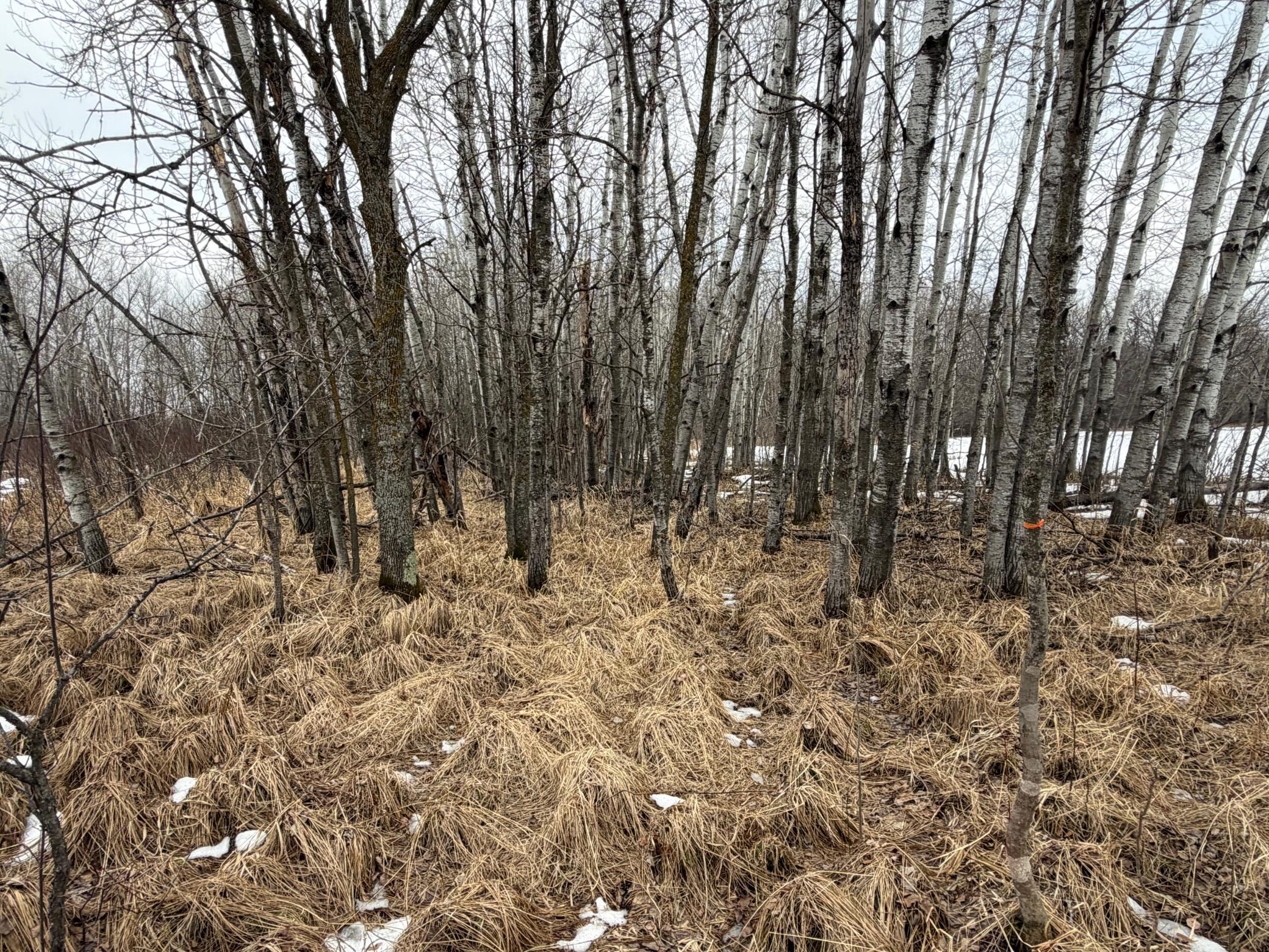 Tbd-b 180th Street Milaca, MN 56353 - Photo 73 of 80