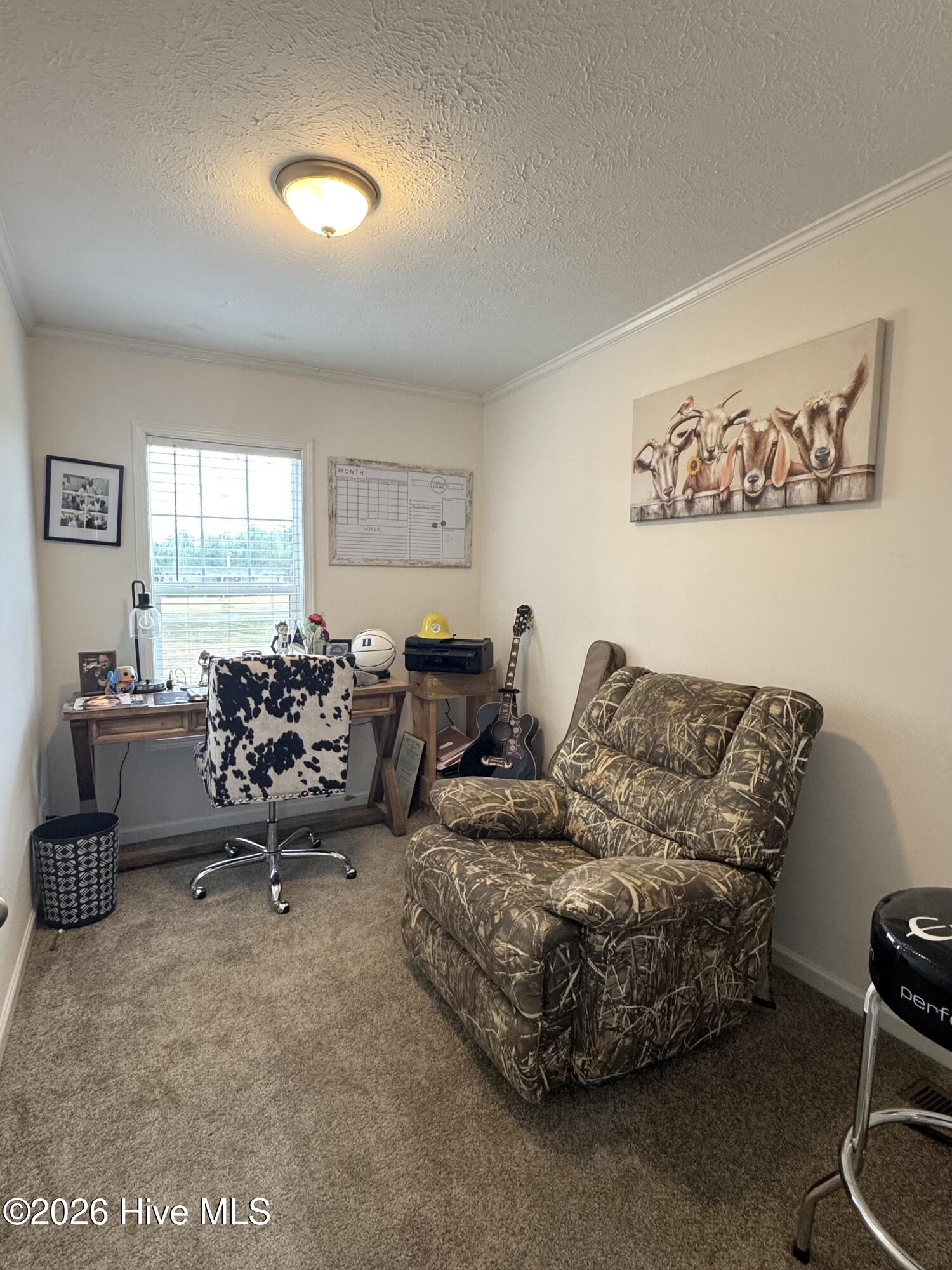 467 Macedonia Church Road Evergreen, NC 28438 - Photo 11 of 15 Bedroom 2