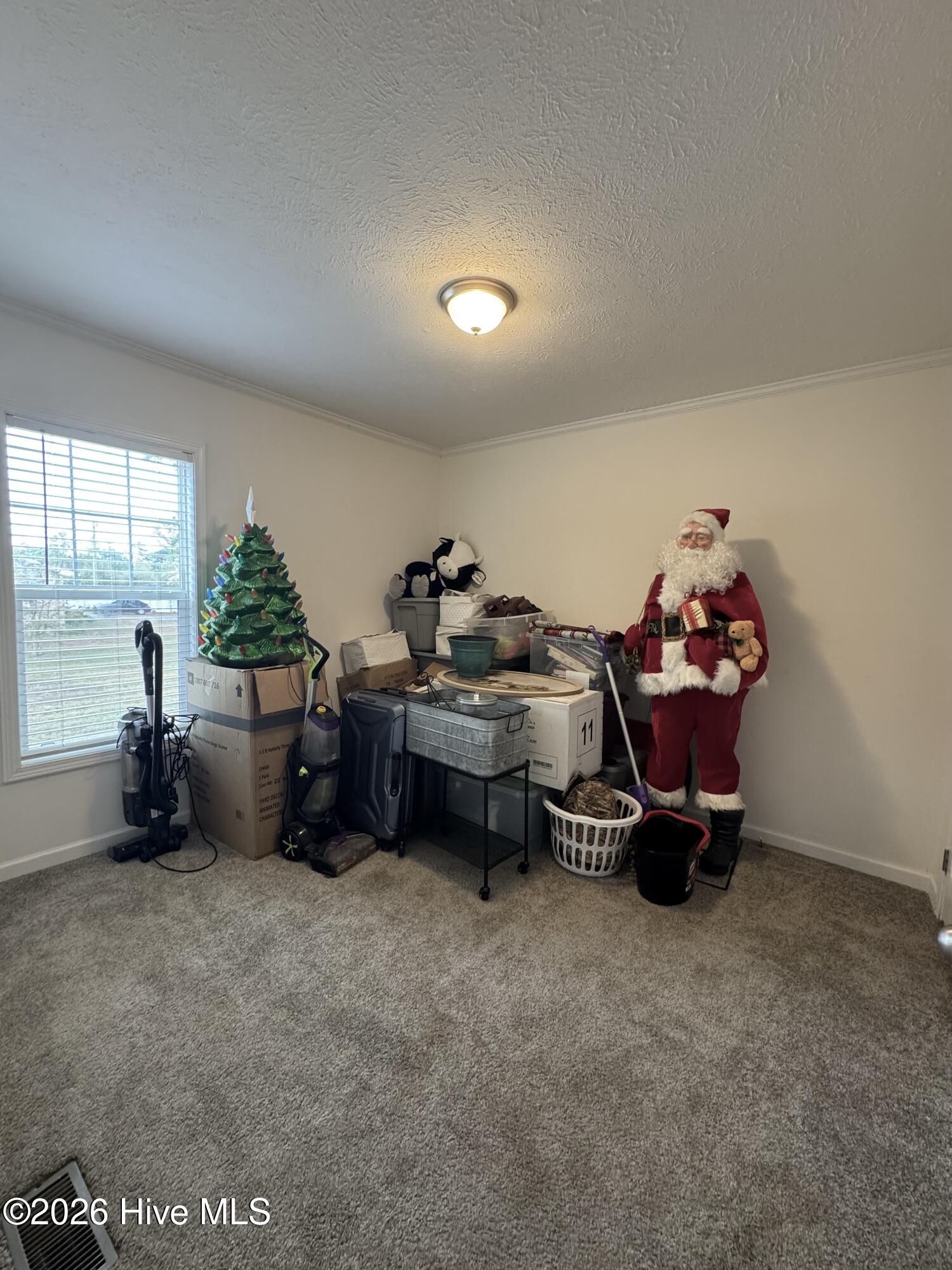 467 Macedonia Church Road Evergreen, NC 28438 - Photo 13 of 15 Bedroom 3