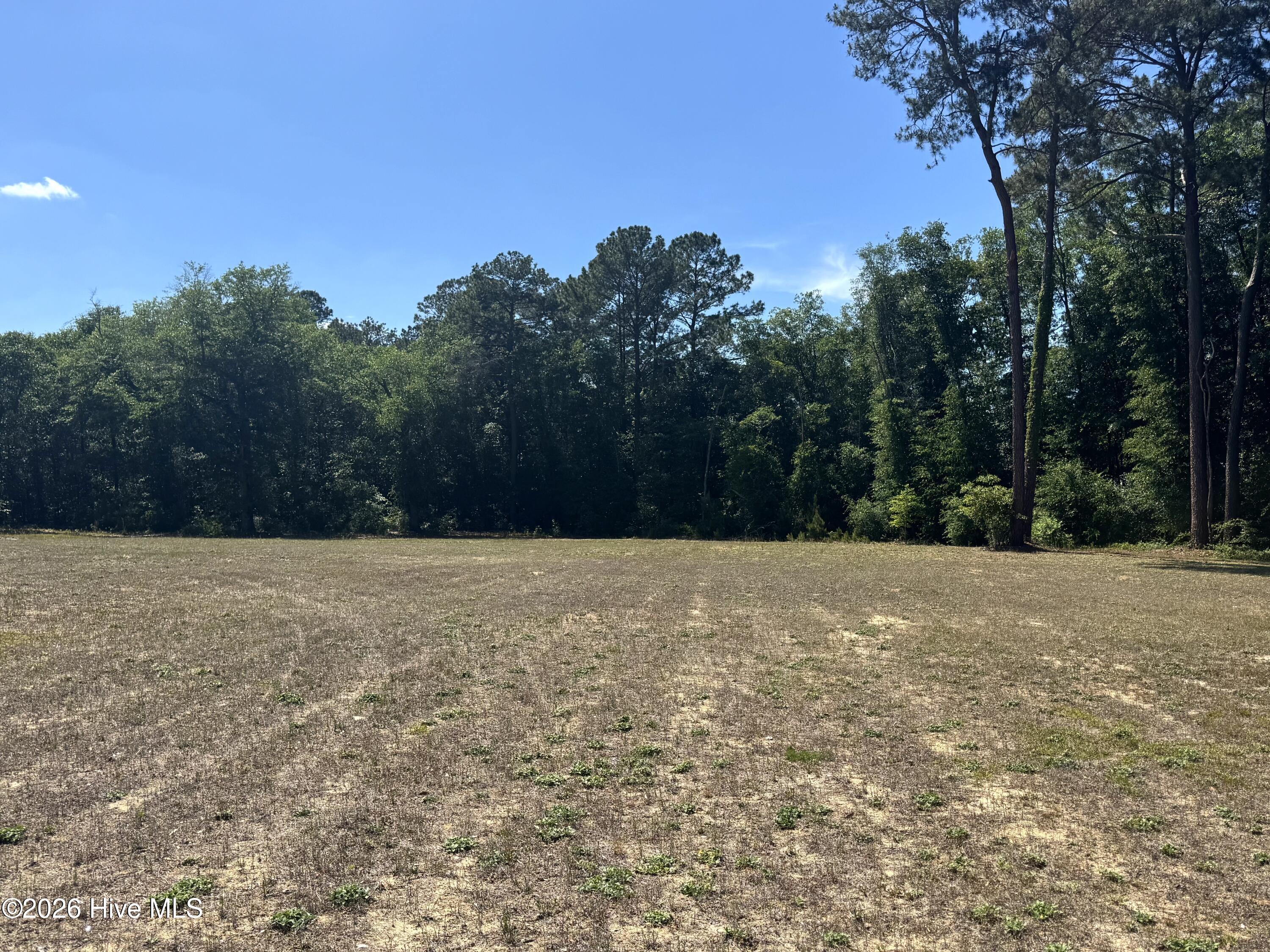 467 Macedonia Church Road Evergreen, NC 28438 - Photo 14 of 15 Spacious Backyard