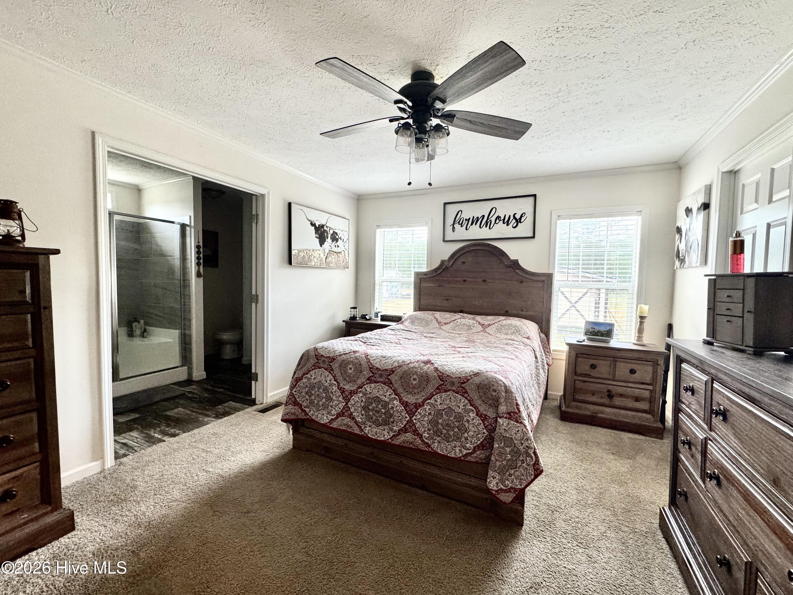 467 Macedonia Church Road Evergreen, NC 28438 - Photo 6 of 15 Master Bedroom